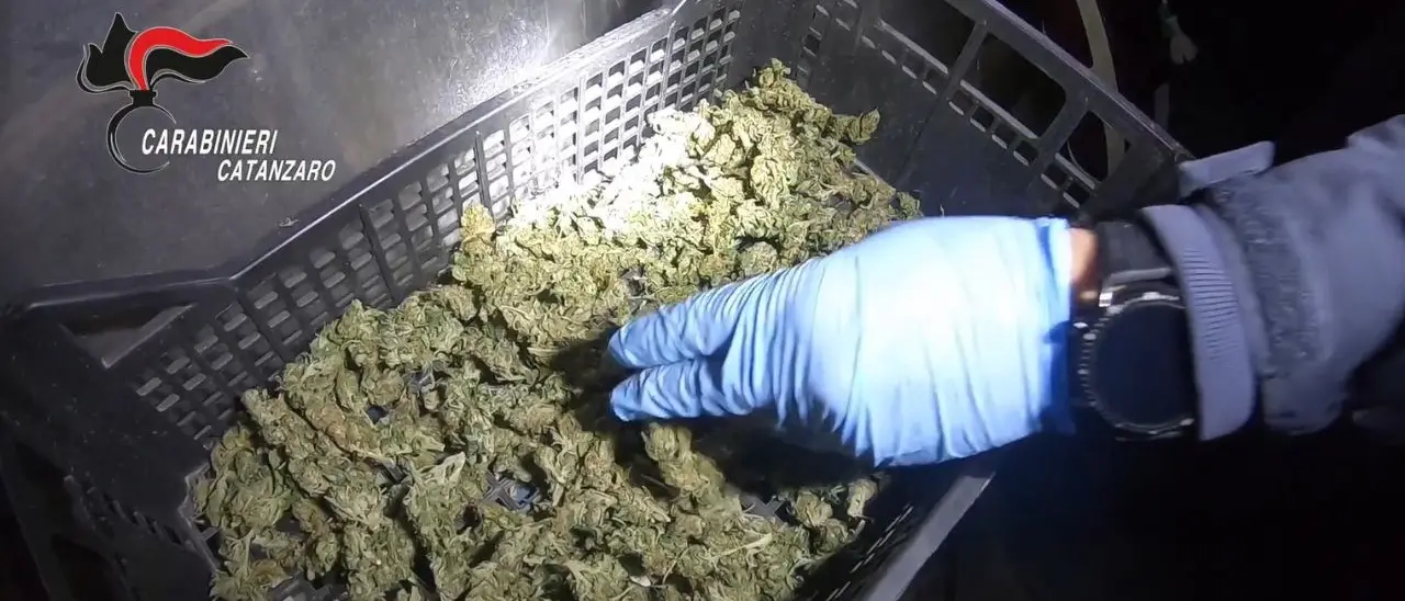 Le «caramelle» di cocaina a 70 euro e le «mazzate» per riscuotere i debiti. I metodi di persuasione degli spacciatori a Lamezia Terme