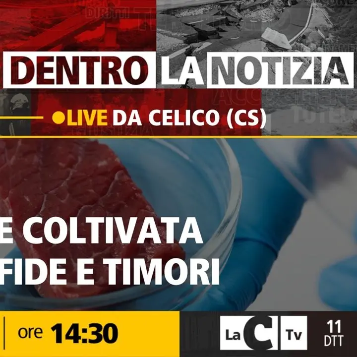 Mangeremo carne sintetica? Pro e contro delle sfide del futuro: il focus a Dentro la Notizia