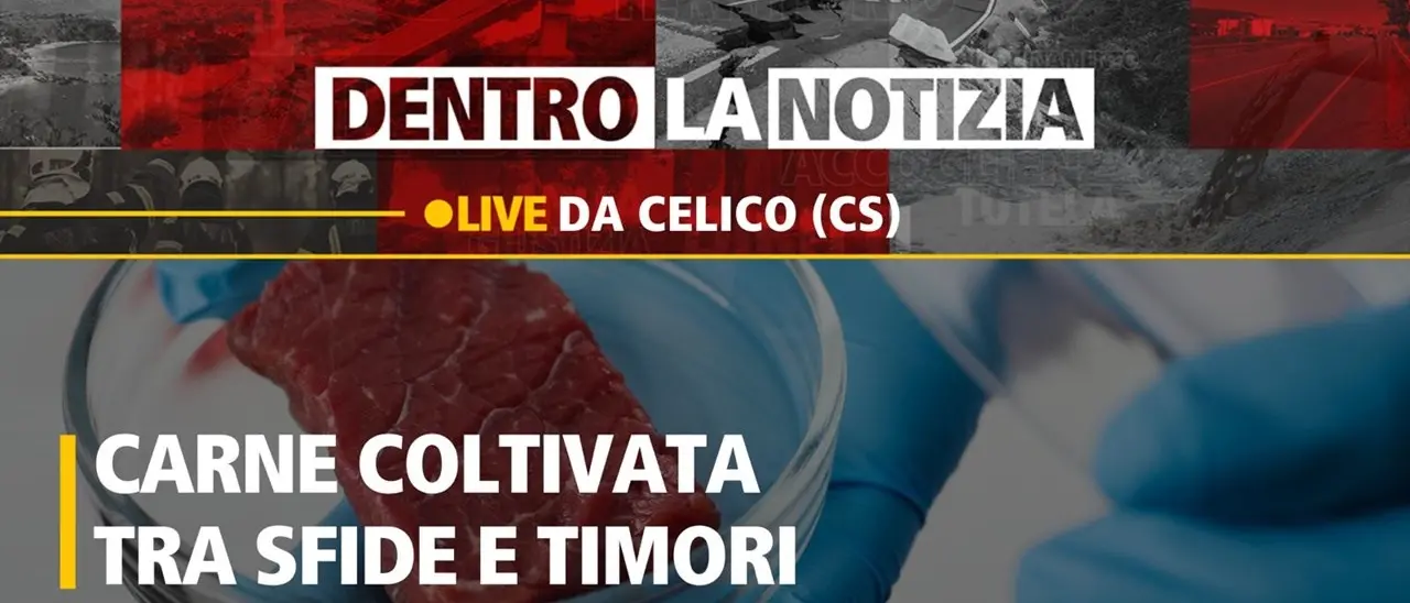 Mangeremo carne sintetica? Pro e contro delle sfide del futuro: il focus a Dentro la Notizia