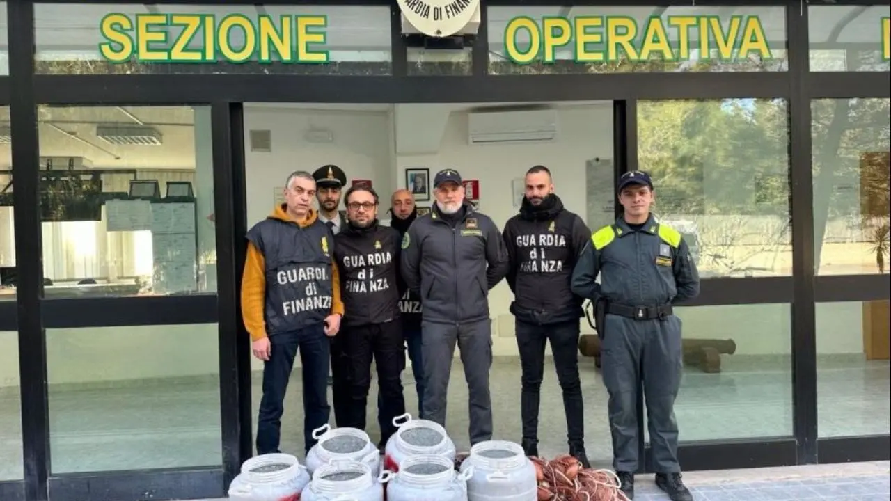 Riace Marina, sequestrati oltre cinquecento chili di novellame dalla guardia di finanza