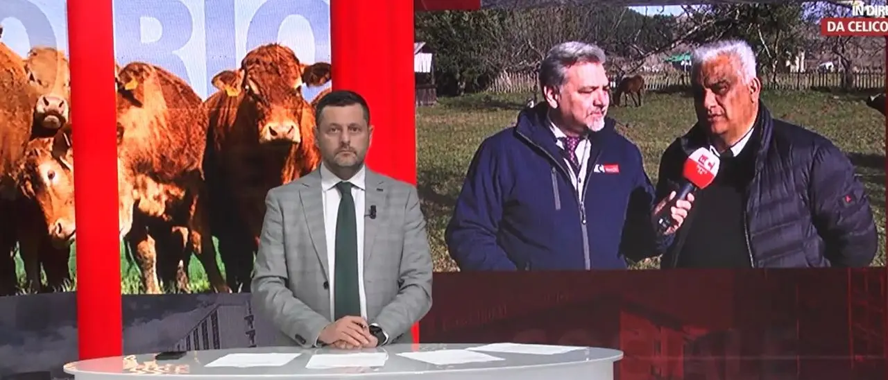 La carne sintetica? Non esiste, quella fatta in laboratorio è “coltivata”. Pro e contro a Dentro la notizia