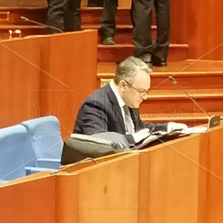 L’appello di Talerico: «Si tuteli l’economia calabrese, servono misure a sostegno del settore agricolo»