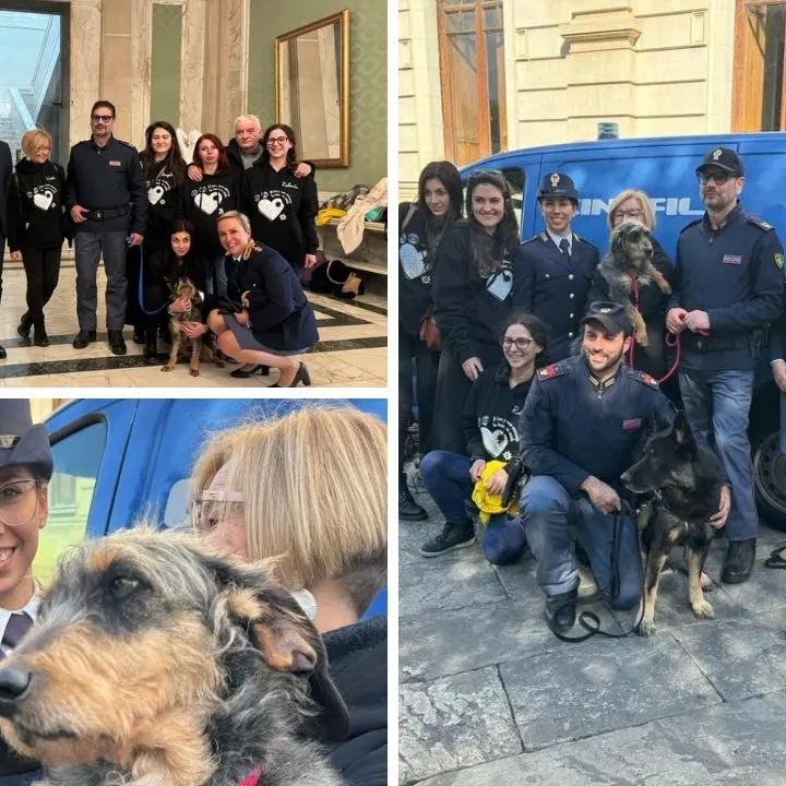 Reggio Calabria, la Polizia adotta un meticcio dal canile: Lisa entra nella famiglia dei Cinofili