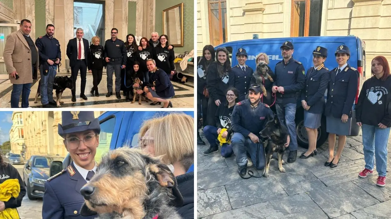 Reggio Calabria, la Polizia adotta un meticcio dal canile: Lisa entra nella famiglia dei Cinofili