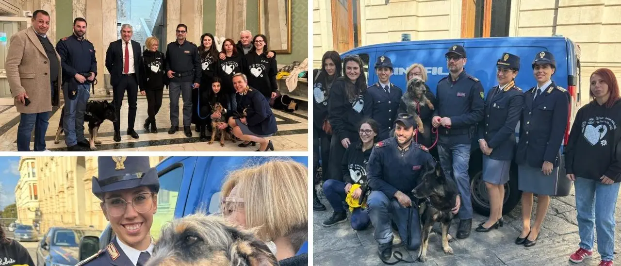 Reggio Calabria, la Polizia adotta un meticcio dal canile: Lisa entra nella famiglia dei Cinofili