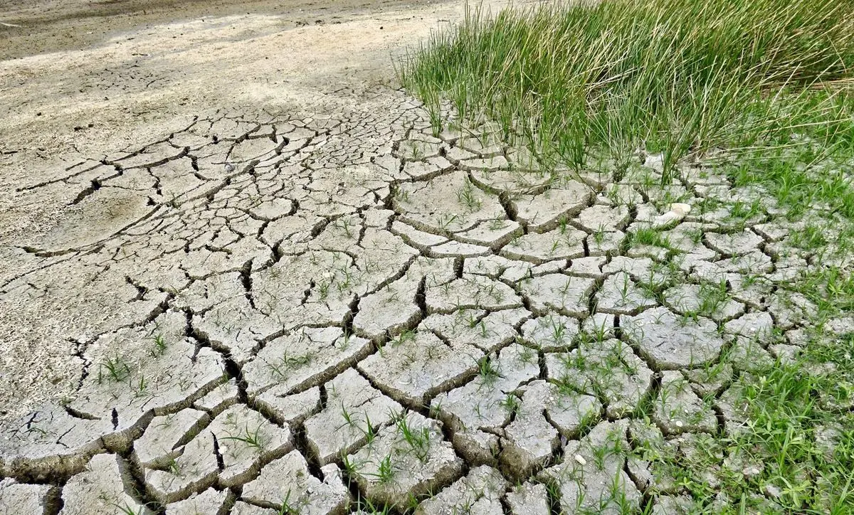 Cambiamento climatico in Calabria, i dati Arpacal: nel 2023 mai così poca pioggia rispetto agli ultimi 10 anni