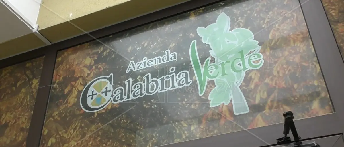 La strana distribuzione dei forestali in Calabria: a San Giovanni in Fiore e nella Locride la metà di tutti quelli in servizio