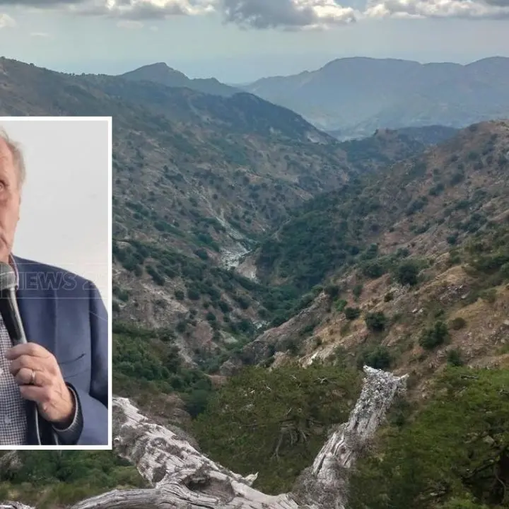 Parco d’Aspromonte commissariato, l’ex presidente Perna: «Viene da ridere, quello nuovo nel curriculum ha l’Asp»