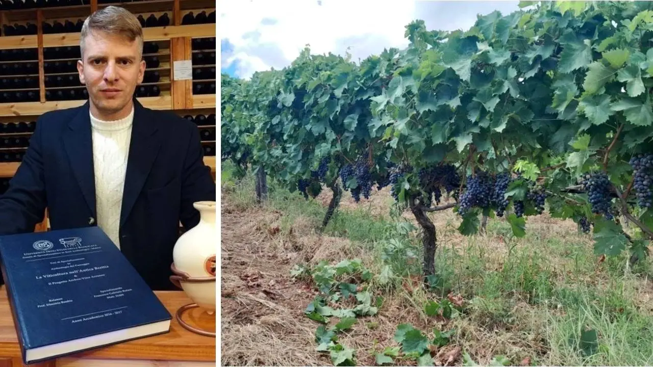 Il giovane archeologo del vino che ha scelto di restare in Calabria per rilanciare la vite introdotta dai greci e ora in via di estinzione