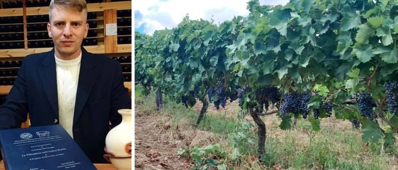 Il giovane archeologo del vino che ha scelto di restare in Calabria per rilanciare la vite introdotta dai greci e ora in via di estinzione