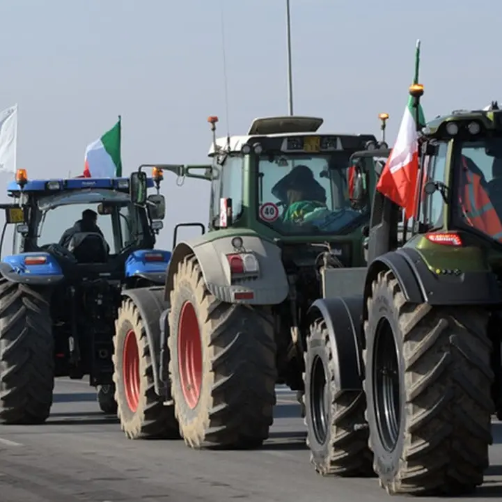 Protesta dei trattori a Roma, agricoltori del Crotonese sotto Palazzo Chigi per manifestare