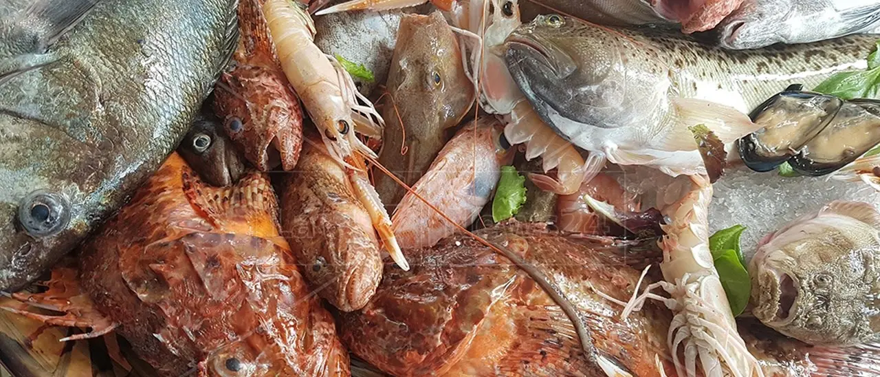Le famiglie del Sud mangiano più pesce rispetto al Centro-Nord, ma solo per i ricchi aumenta il consumo di quello fresco
