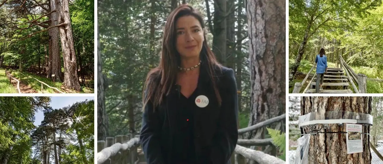 Il clima che cambia e la montagna in crisi, nel cuore della Sila la speranza di chi resiste. «Dobbiamo ripartire dai giovani»