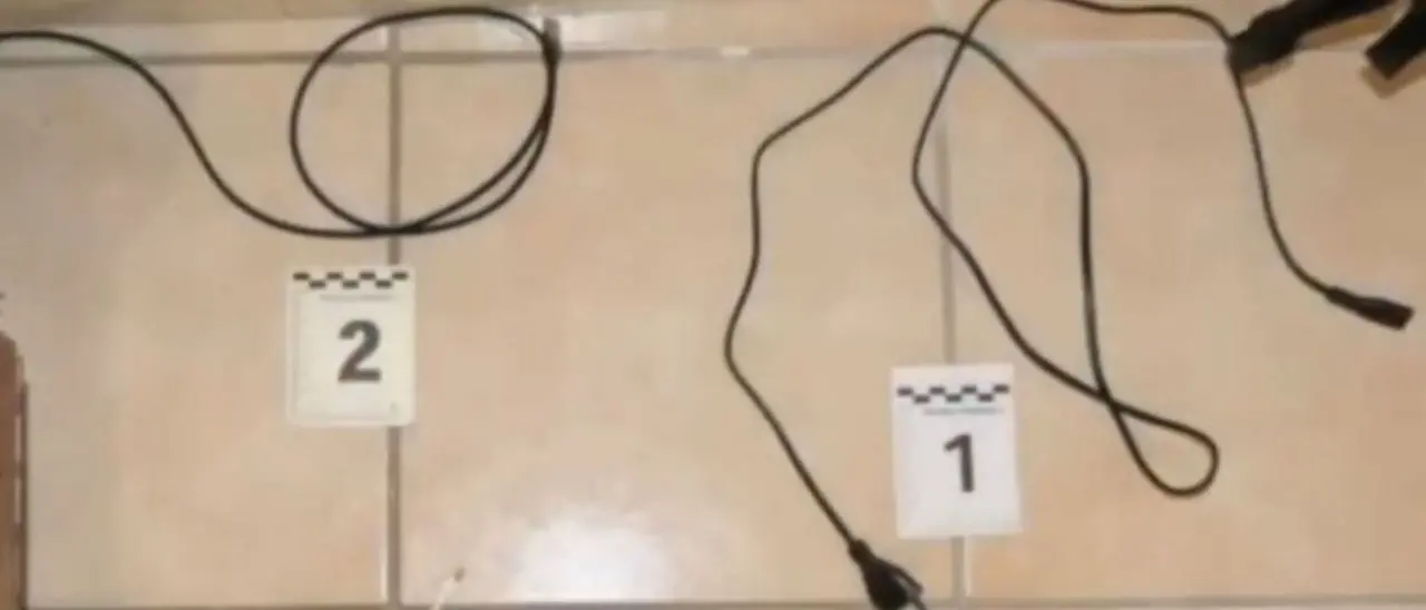 Bambino di 5 anni picchiato e frustato con dei cavi elettrici: fermate la madre e la “zia”