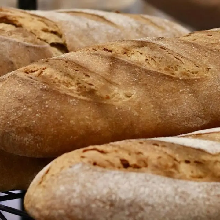 Il “pane della salute” è calabrese: arriva anche in farmacia l’antica ricetta di Mulinum