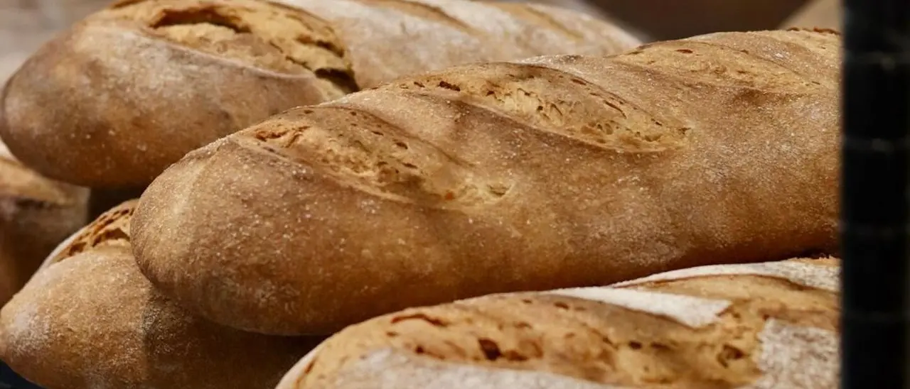 Il “pane della salute” è calabrese: arriva anche in farmacia l’antica ricetta di Mulinum