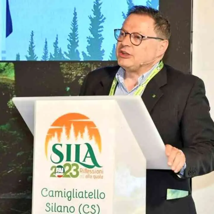 La montagna calabrese nella morsa del gran caldo, Nicoletti (Legambiente): «Abbiamo poco tempo e dobbiamo agire in fretta»