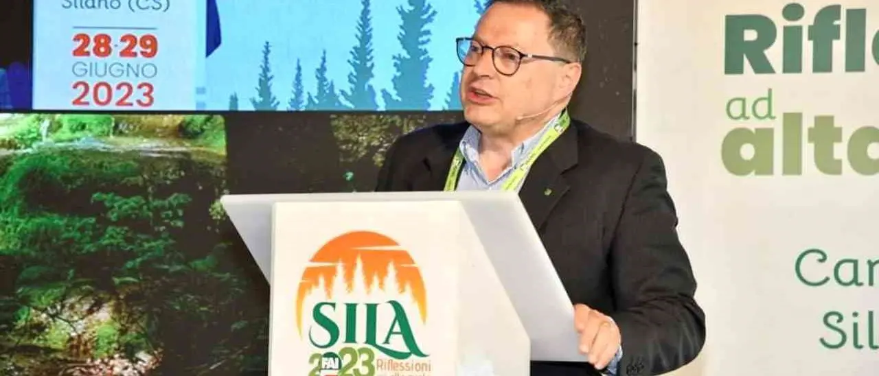 La montagna calabrese nella morsa del gran caldo, Nicoletti (Legambiente): «Abbiamo poco tempo e dobbiamo agire in fretta»