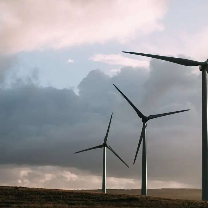 L’estorsione da 250mila al parco eolico di Vallefiorita pagata con carichi di cemento. L’ira del boss Bruno e la punizione per l’affiliato