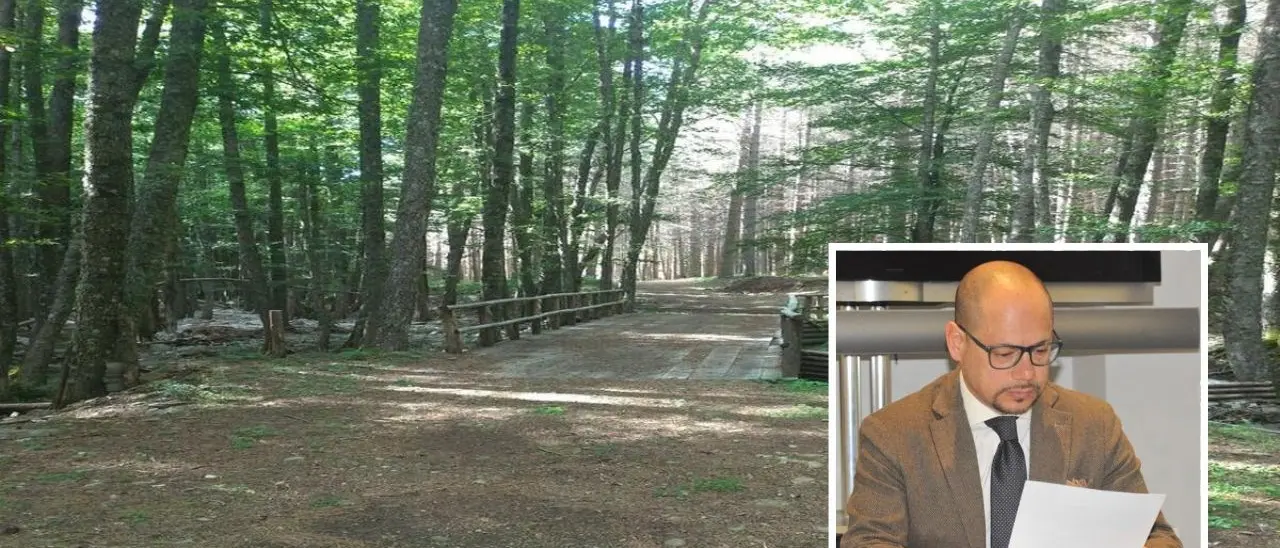 La montagna calabrese spiegata dal prof Bombino: «Aspromonte foresta più a sud d’Europa, tra felci preistoriche e specie uniche»