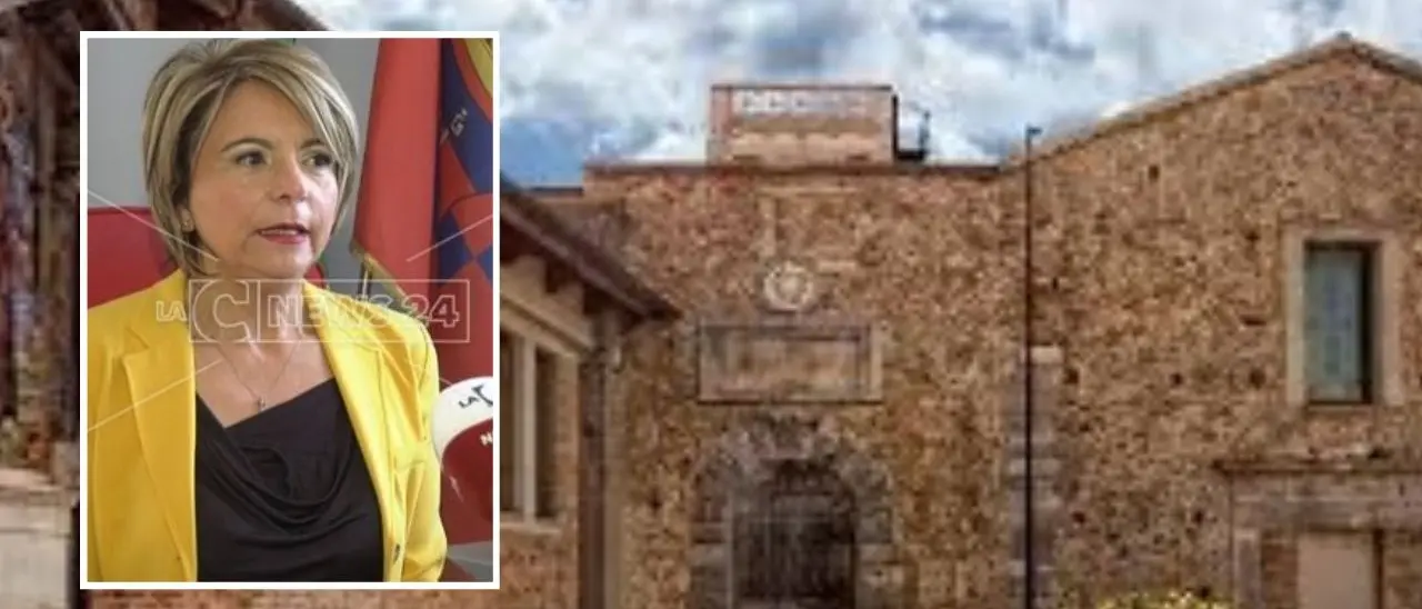 Sistema bibliotecario vibonese in crisi, il sindaco Limardo: «Pronti a concedere (per un anno) l’uso gratuito dei locali»