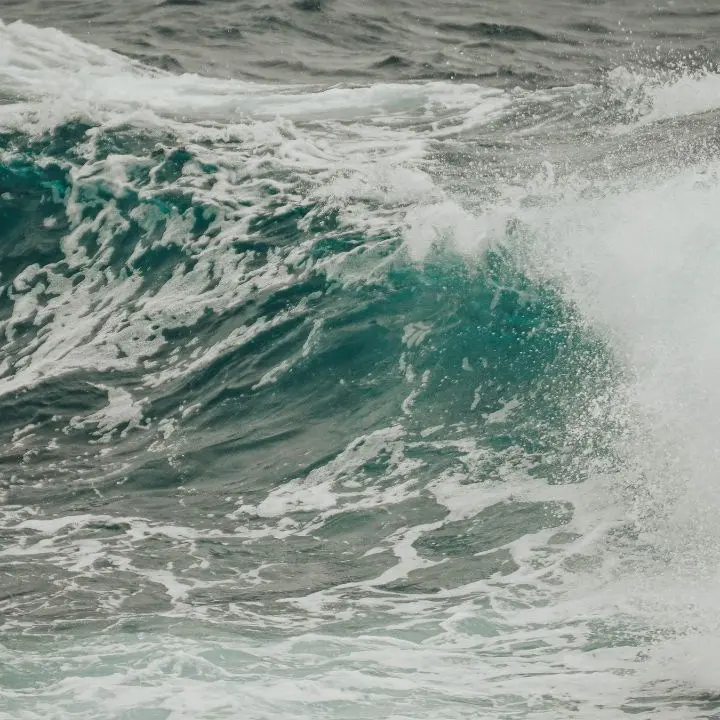 Resti umani trovati in Campania e poi su una spiaggia del Vibonese, forse appartengono a un migrante morto nel Mediterraneo