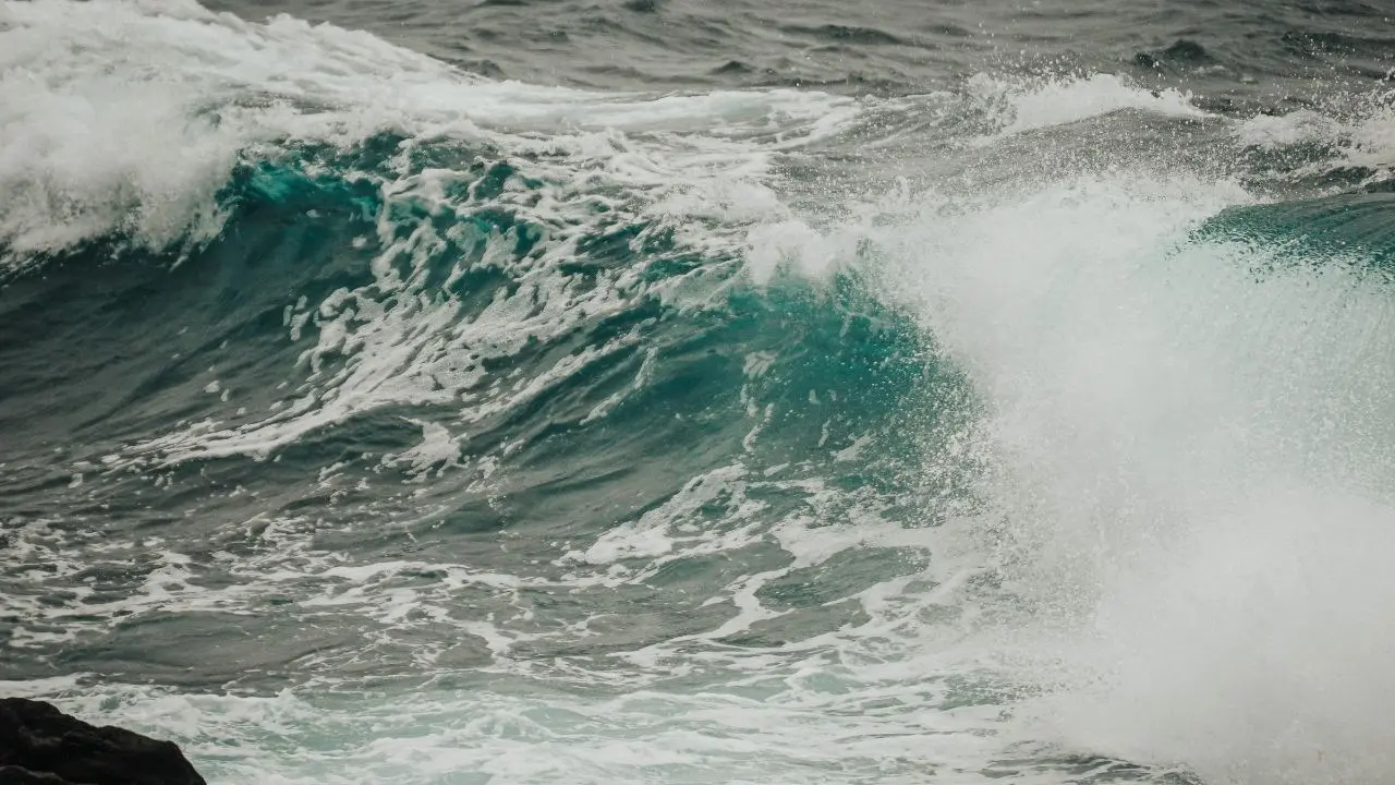 Resti umani trovati in Campania e poi su una spiaggia del Vibonese, forse appartengono a un migrante morto nel Mediterraneo