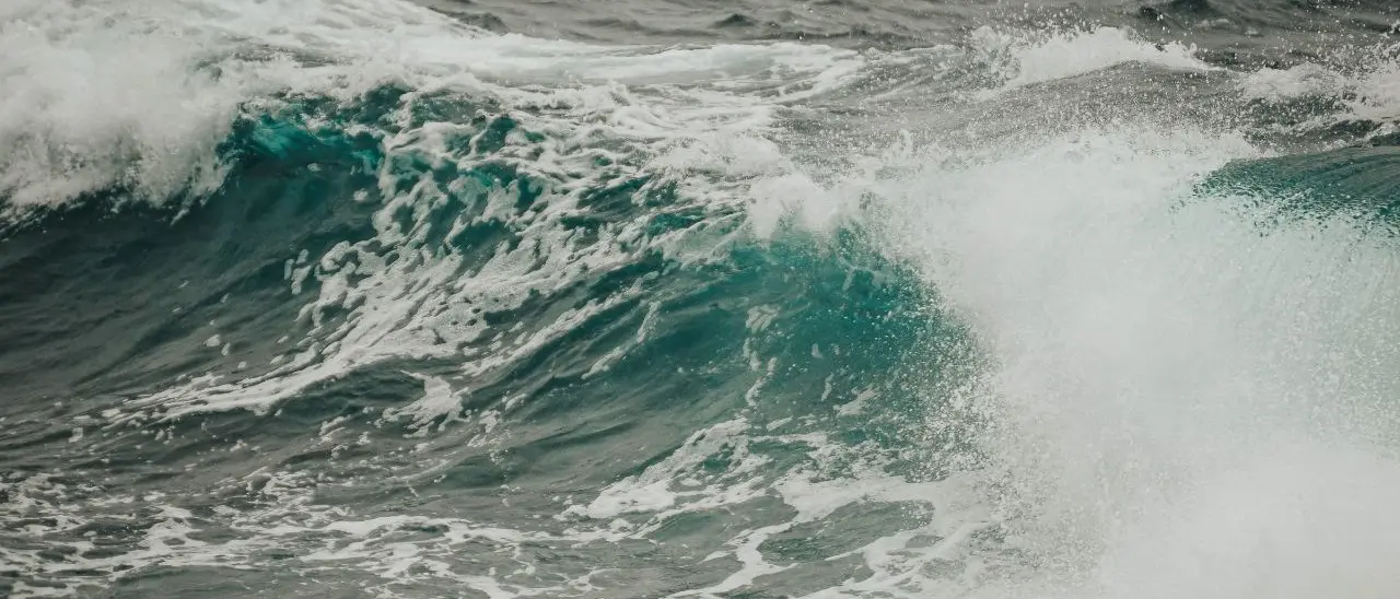 Resti umani trovati in Campania e poi su una spiaggia del Vibonese, forse appartengono a un migrante morto nel Mediterraneo