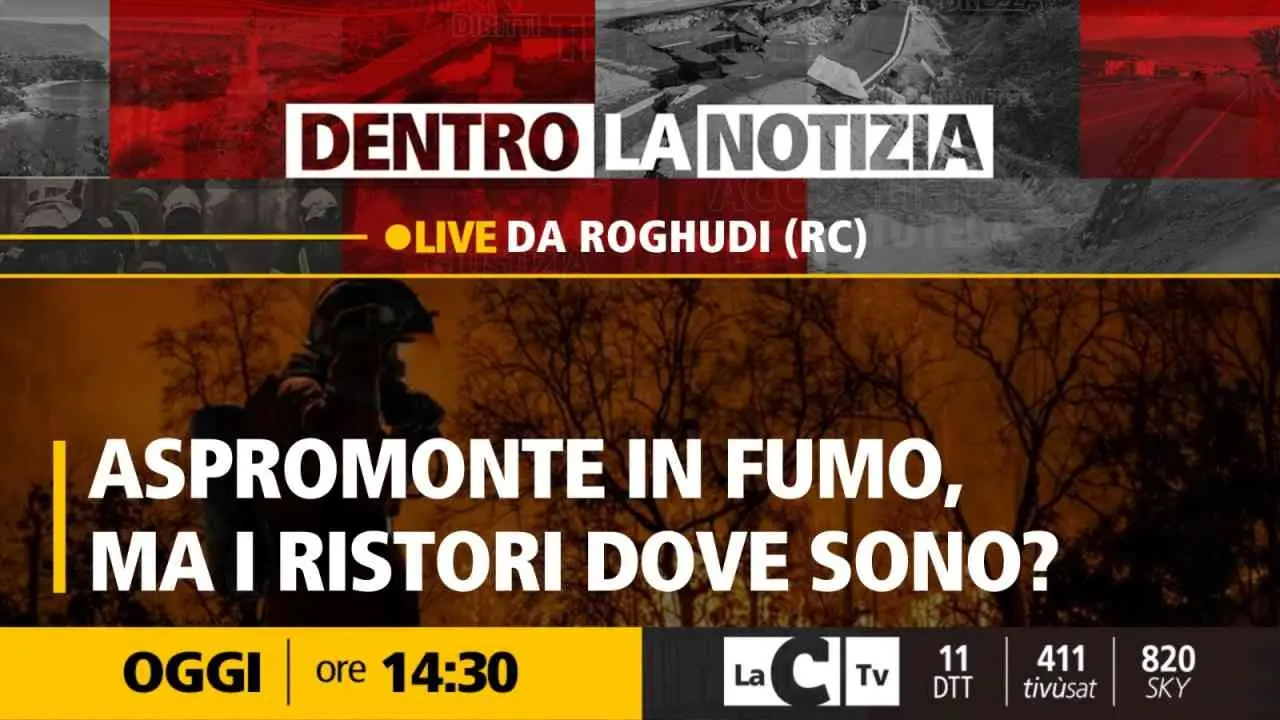 Aspromonte, dopo la stagione degli incendi si apre quella delle polemiche: dove sono i ristori? Oggi a Dentro la Notizia