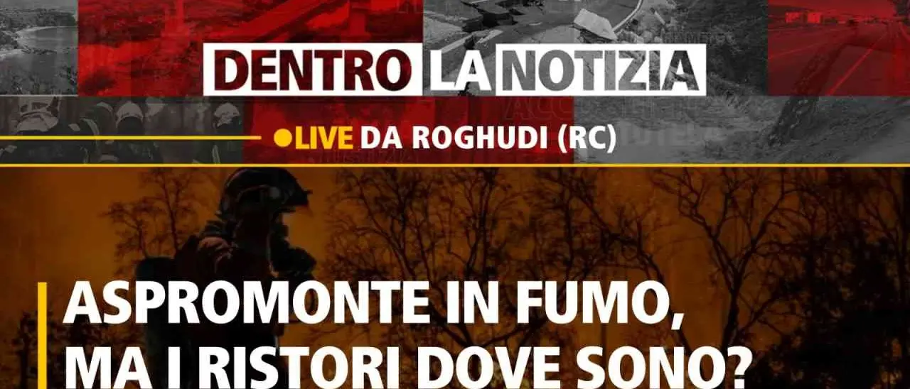 Aspromonte, dopo la stagione degli incendi si apre quella delle polemiche: dove sono i ristori? Oggi a Dentro la Notizia