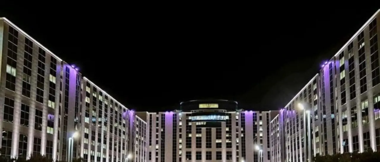 Catanzaro, la Cittadella regionale si tinge di rosa per la giornata della donna