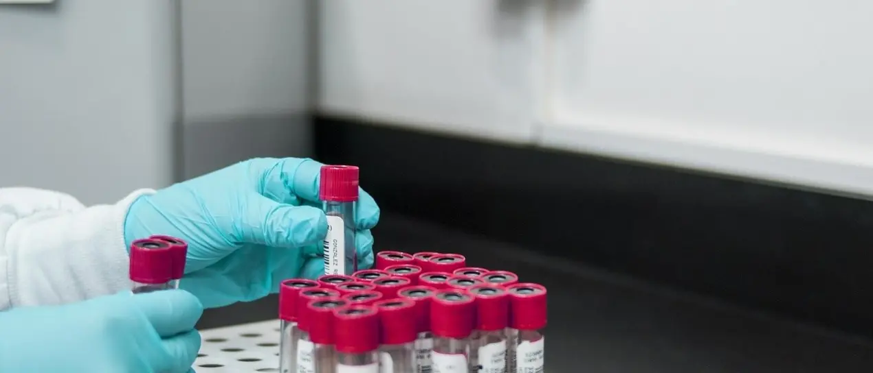 Aumentano le malattie sessualmente trasmissibili, l’allarme del Centro europeo per la prevenzione e controllo