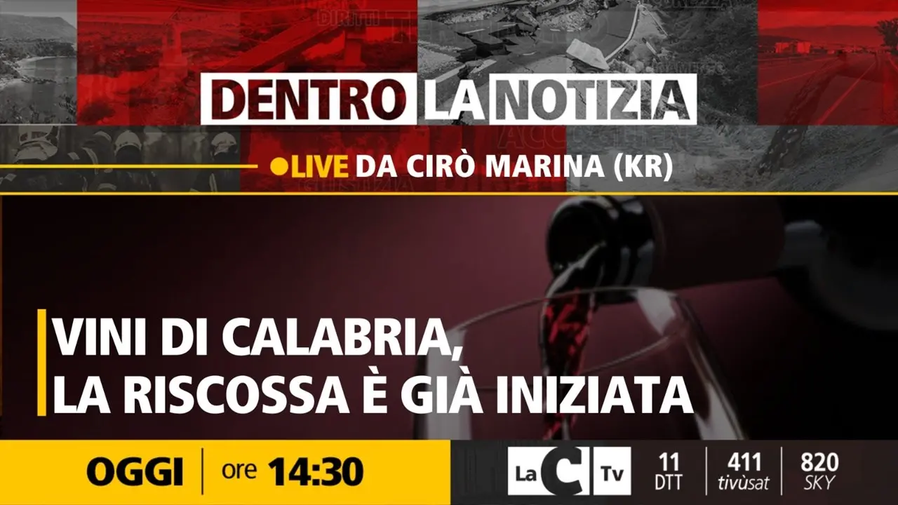 Da tradizione a realtà produttiva di successo: i vini di Calabria al centro di Dentro la Notizia