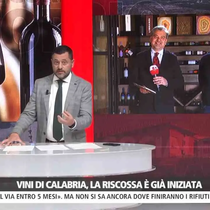 La riscossa dei vini calabresi: alla sfida del futuro piccoli e grandi produttori rispondono facendo rete