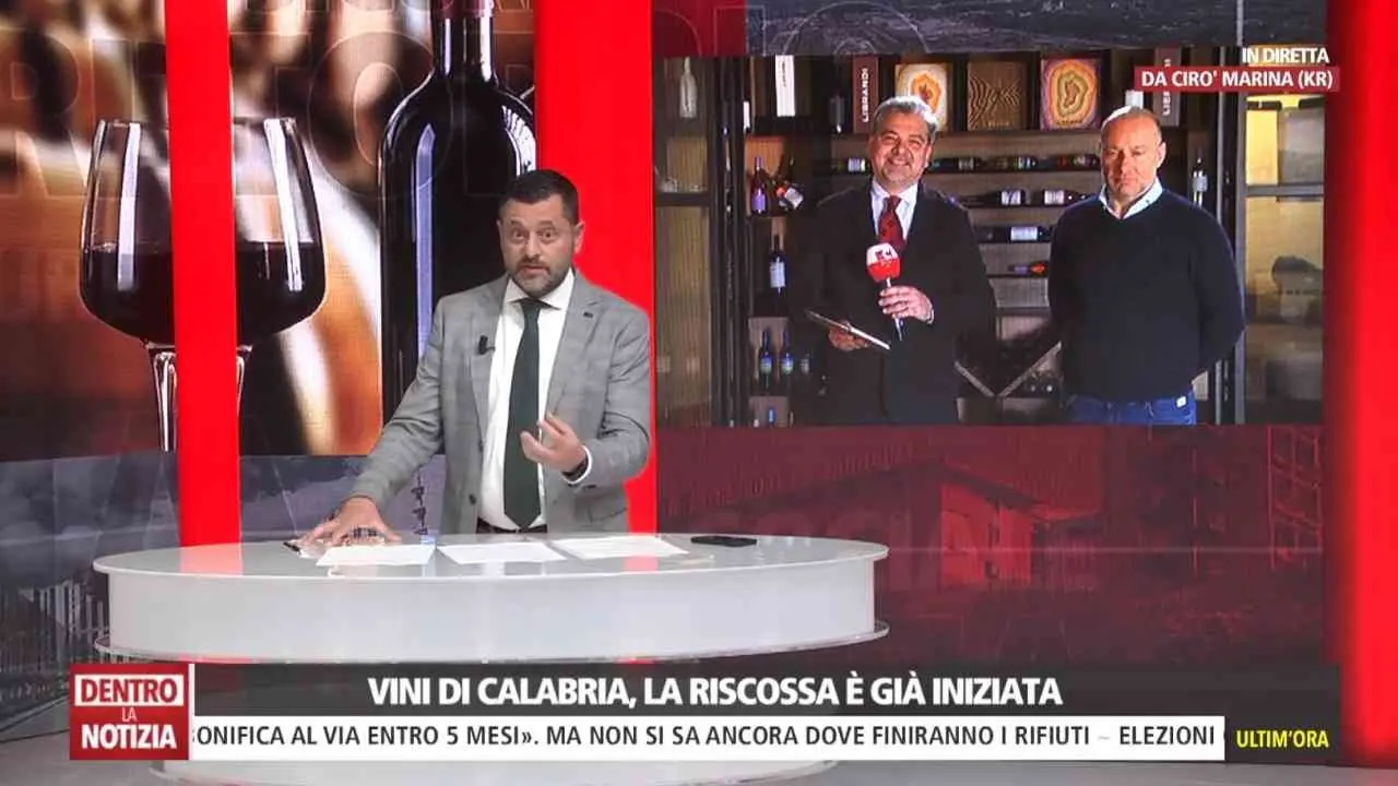 La riscossa dei vini calabresi: alla sfida del futuro piccoli e grandi produttori rispondono facendo rete