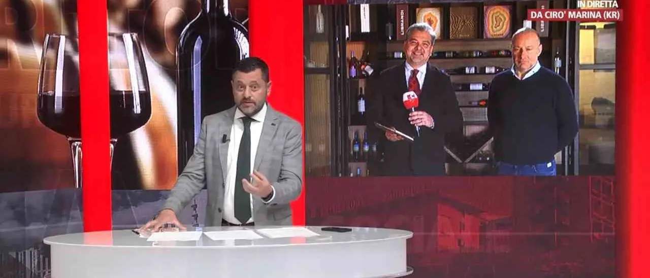 La riscossa dei vini calabresi: alla sfida del futuro piccoli e grandi produttori rispondono facendo rete