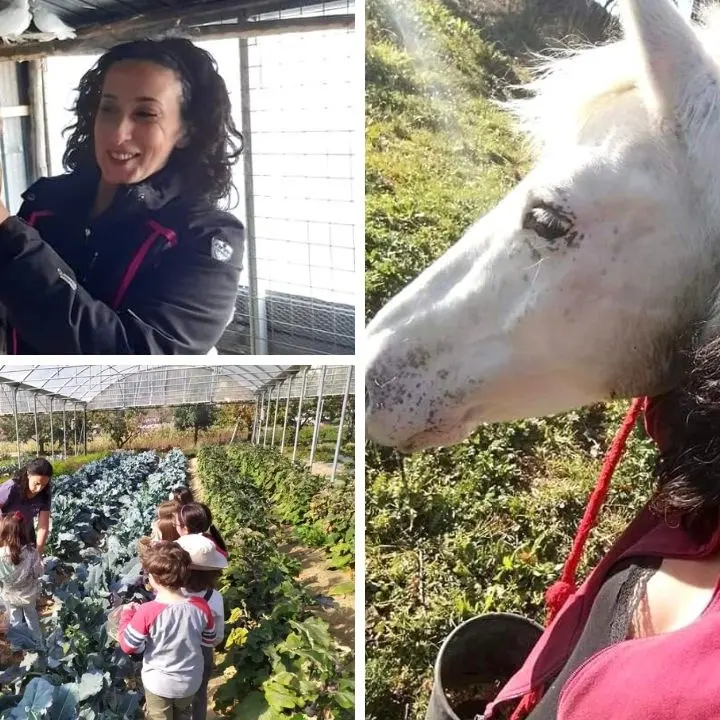 Lidia, contadina nella Sila Grande per amore della terra: «Ma la situazione è difficile, noi agricoltori rischiamo di affondare»