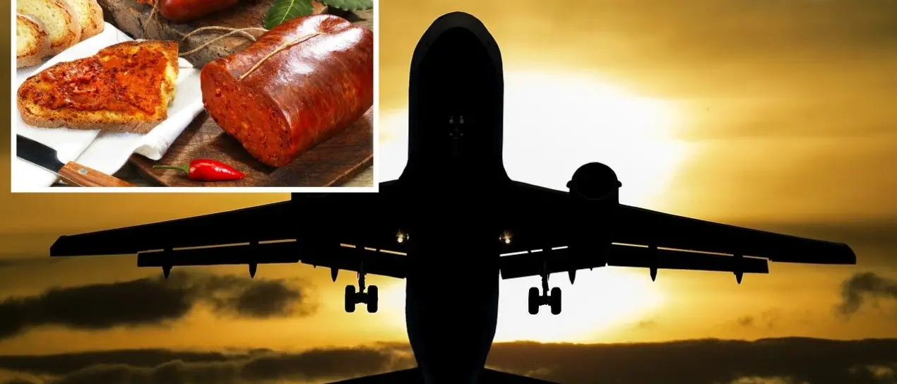 Vola ‘nduja mia, vola. Ora potremo portarla in aereo ma quanti caduti (nel cestino) è costata la guerra
