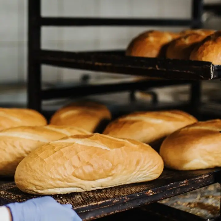 Chiuso forno abusivo nel Crotonese, sanzionato il titolare