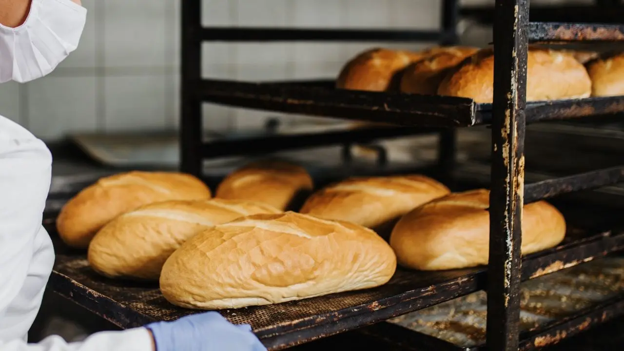 Chiuso forno abusivo nel Crotonese, sanzionato il titolare