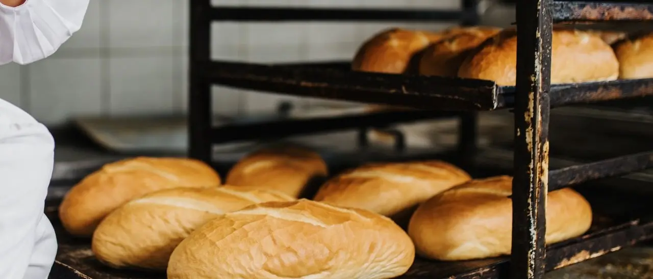 Chiuso forno abusivo nel Crotonese, sanzionato il titolare