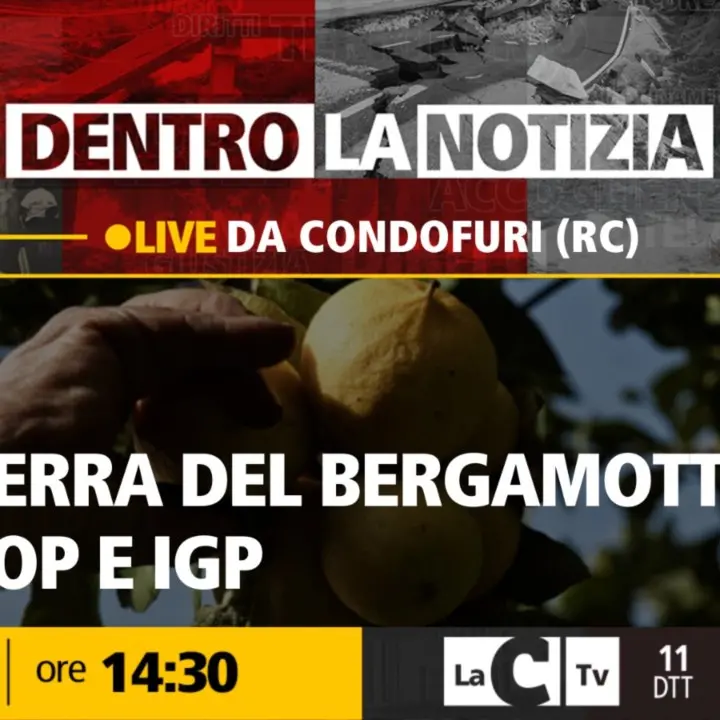 C’è chi lo vuole Dop e chi lo vuole Igp: la guerra del bergamotto. Il punto a Dentro la Notizia