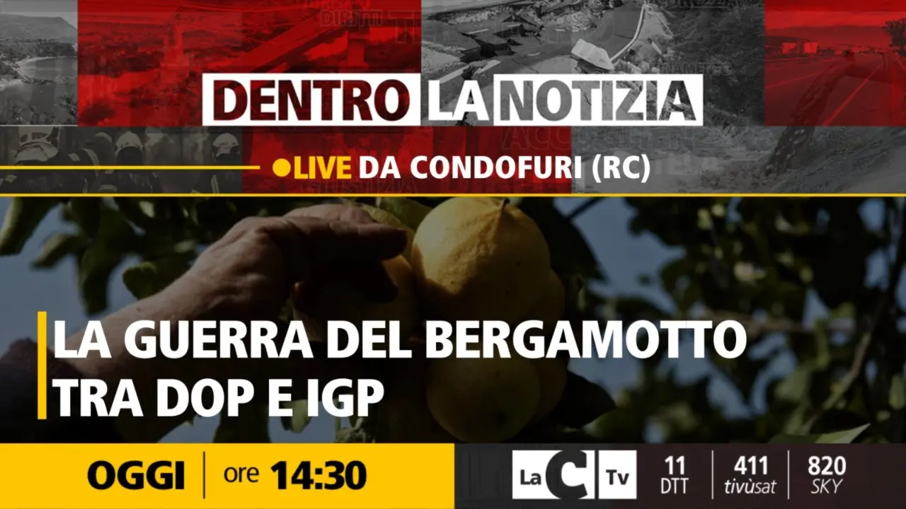 C’è chi lo vuole Dop e chi lo vuole Igp: la guerra del bergamotto. Il punto a Dentro la Notizia