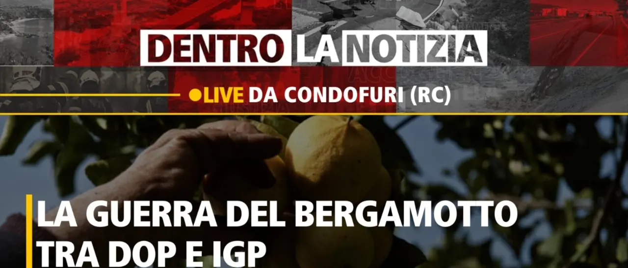 C’è chi lo vuole Dop e chi lo vuole Igp: la guerra del bergamotto. Il punto a Dentro la Notizia