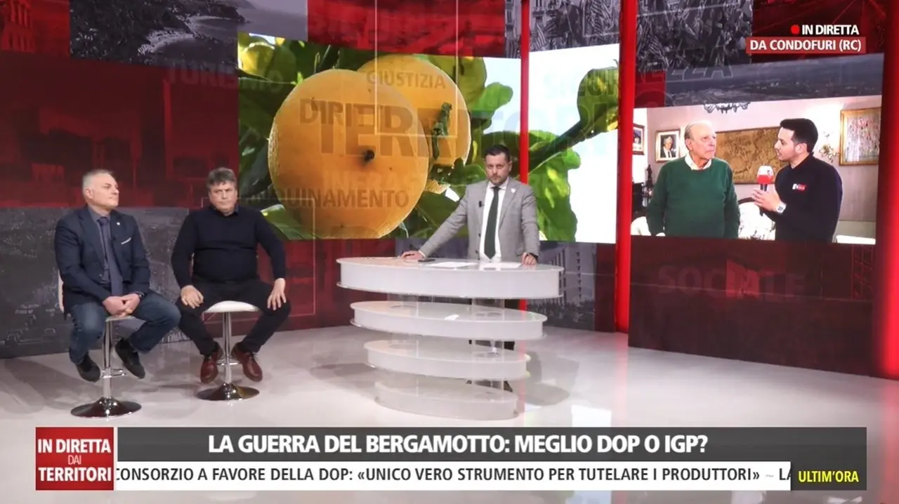 Bergamotto Dop o Igp? A LaC si fronteggiano i due schieramenti: la guerra continua ma il confronto è possibile