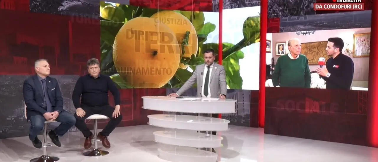 Bergamotto Dop o Igp? A LaC si fronteggiano i due schieramenti: la guerra continua ma il confronto è possibile