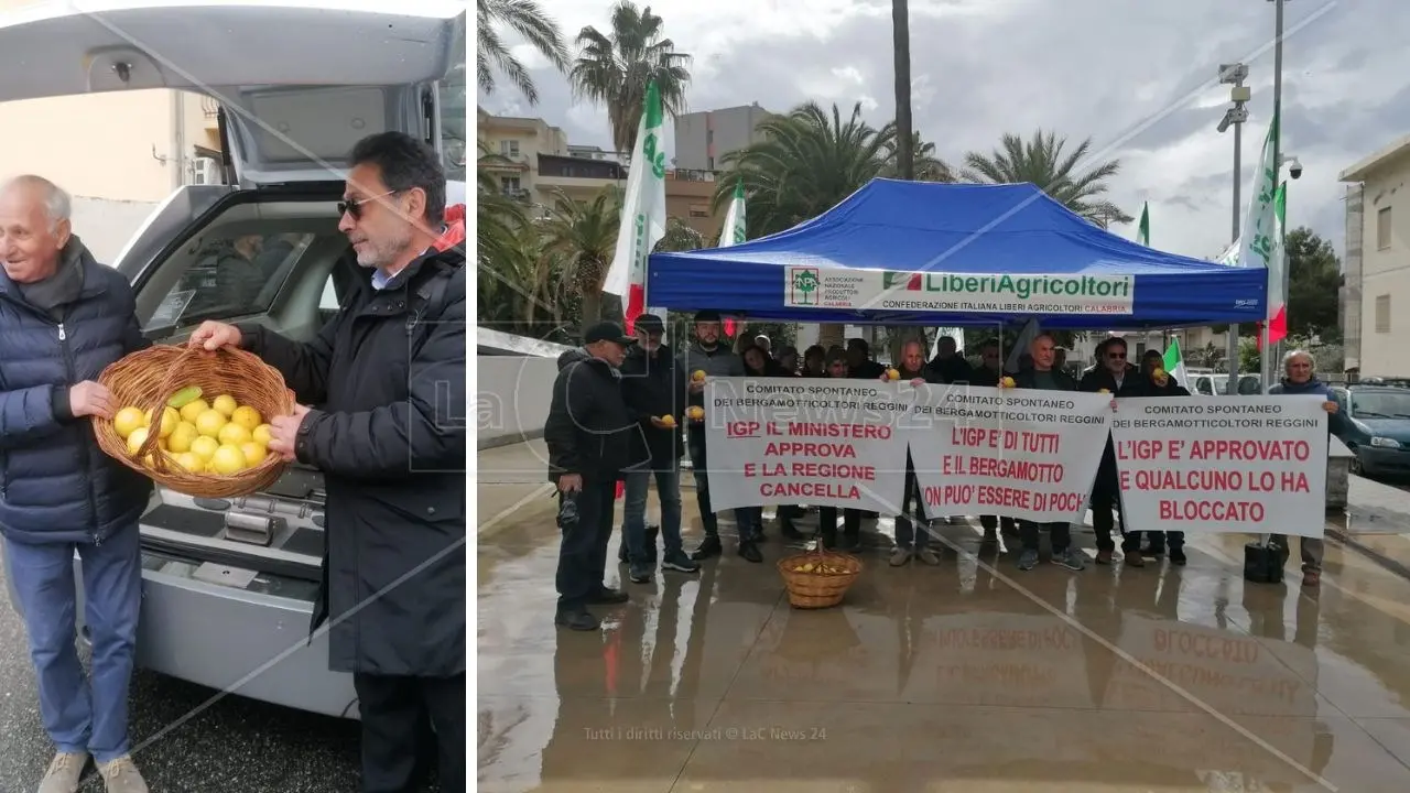 La guerra del bergamotto continua, sit-in dei produttori: «Occhiuto spieghi il dietrofront sull’Igp»