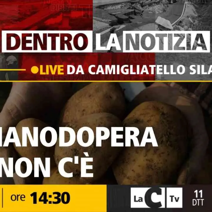 Il decreto flussi non basta, la Calabria a secco di manodopera: il punto a Dentro la Notizia