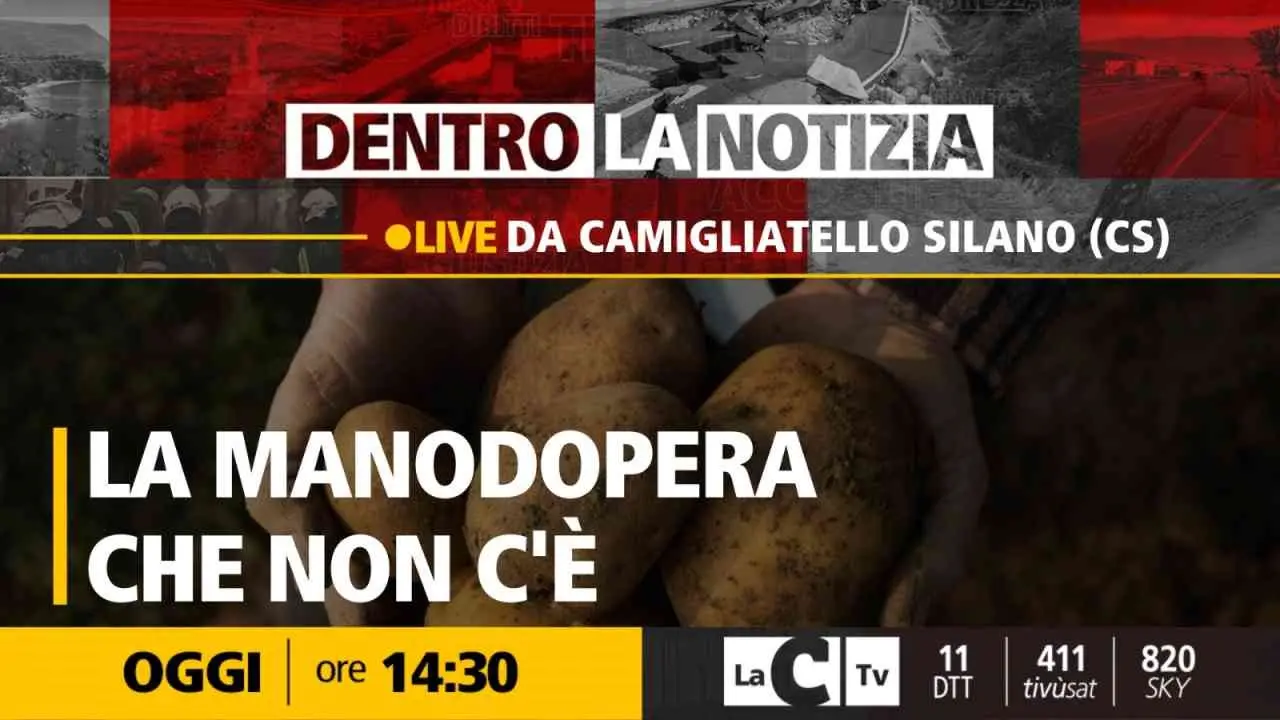 Il decreto flussi non basta, la Calabria a secco di manodopera: il punto a Dentro la Notizia