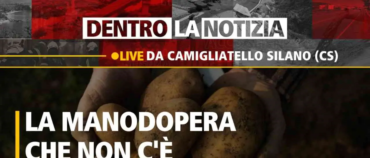 Il decreto flussi non basta, la Calabria a secco di manodopera: il punto a Dentro la Notizia